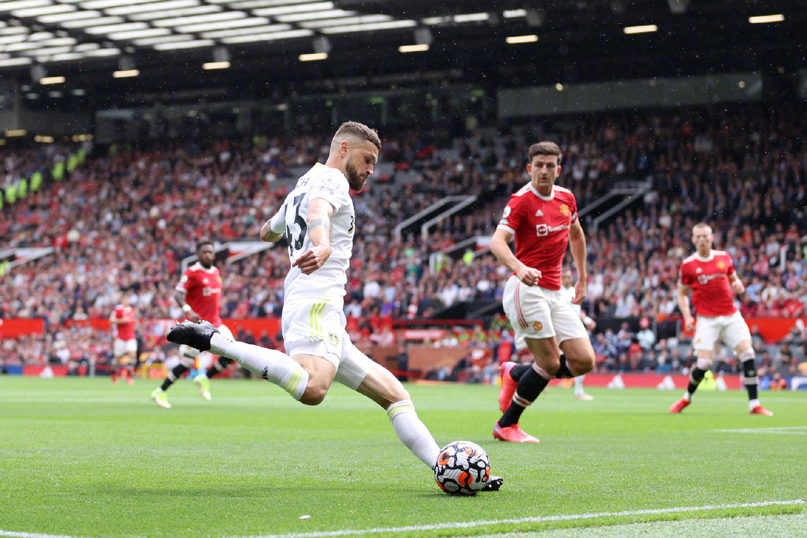 和專業的健 和專業的健